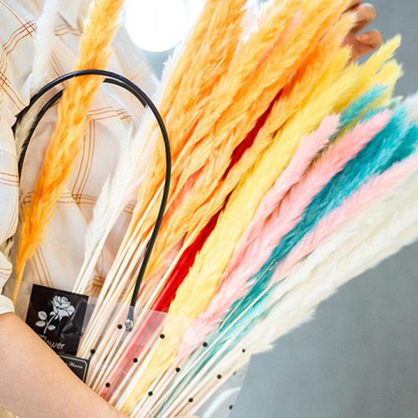 

decorative flowers & wreaths 15 pcs dried small pampas grass phragmites communis decoration for home store wedding