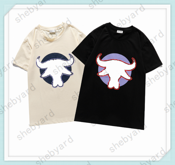 

2021 early spring fashion designers t-shirt womens brand short sleeve shirt mens oversize luxurys tees colors printed 21031001q, White;black