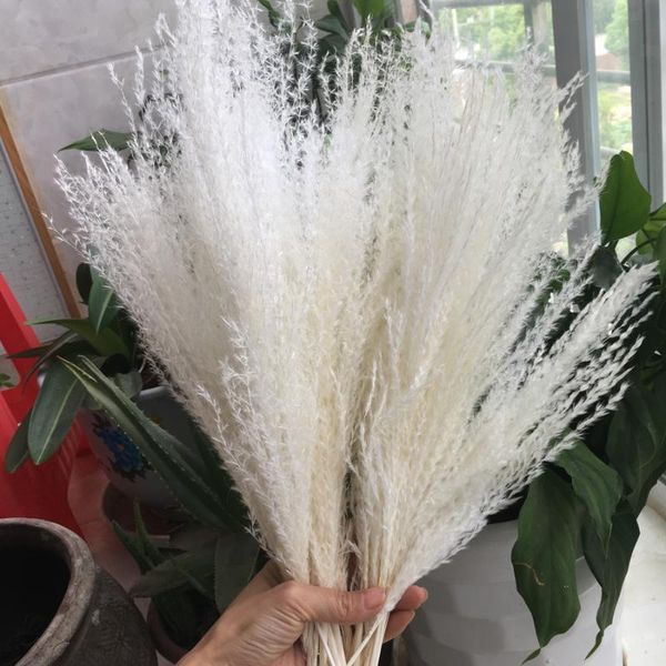 

decorative flowers & wreaths dried 12pcs/40cm natural long reed branch,diy eternal wedding favor marriagefloral bouquet,home gift box plant