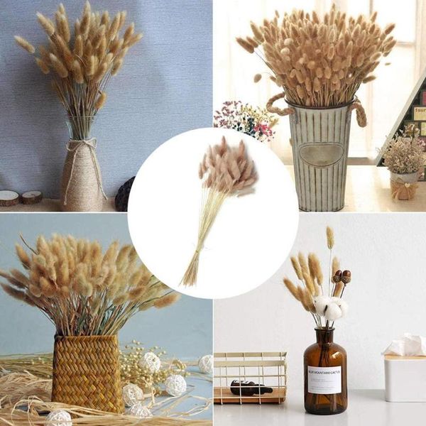 

decorative flowers & wreaths 1 bunch tail grass dried bouquet natural plant home decoration accessories pography props