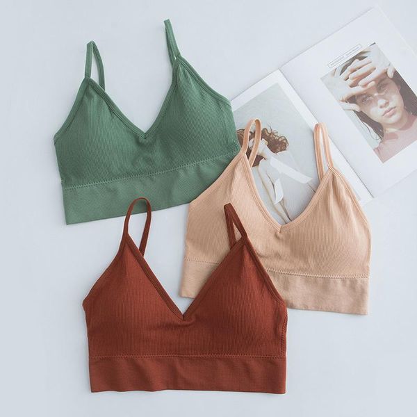 

yoga outfit 2021 women quick dry padded sports bra back shockproof gym fitness running sport brassiere push up bras