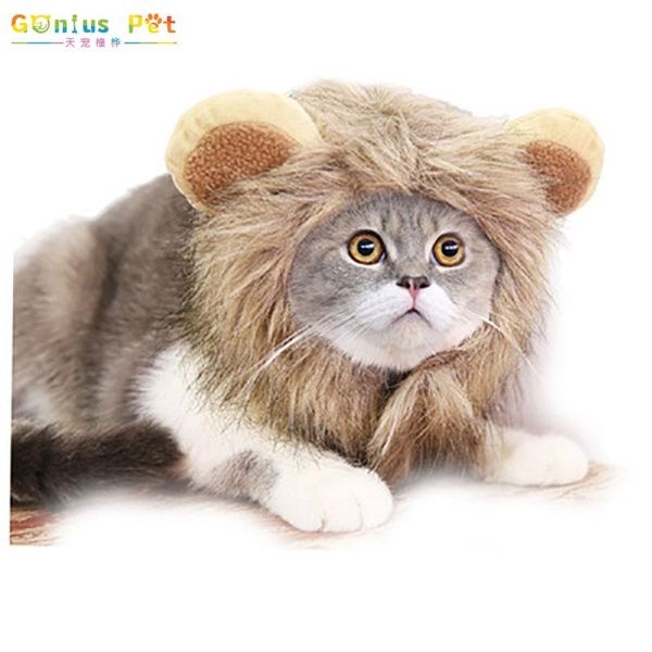 

cat costumes pet dog halloween hat clothes ghost festival cosplayÂ lion funny pumpkin comfortable for small meduim lagre cats supplies