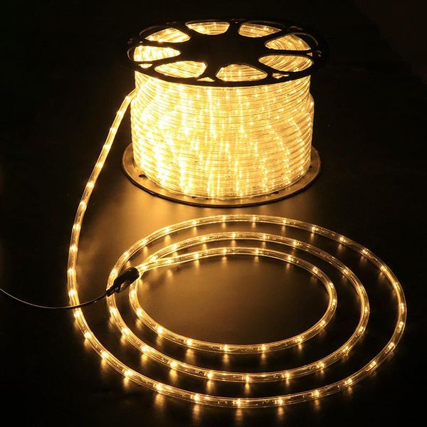 

strings 10/20/30/100m led strip lights power rope outdoor waterproof for garlands wedding christmas holiday decoration lamps 220v d14