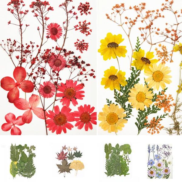 

craft tools small real dried flower natural dry plants for diy candle epoxy resin pendant necklace jewelry making nail art decoration