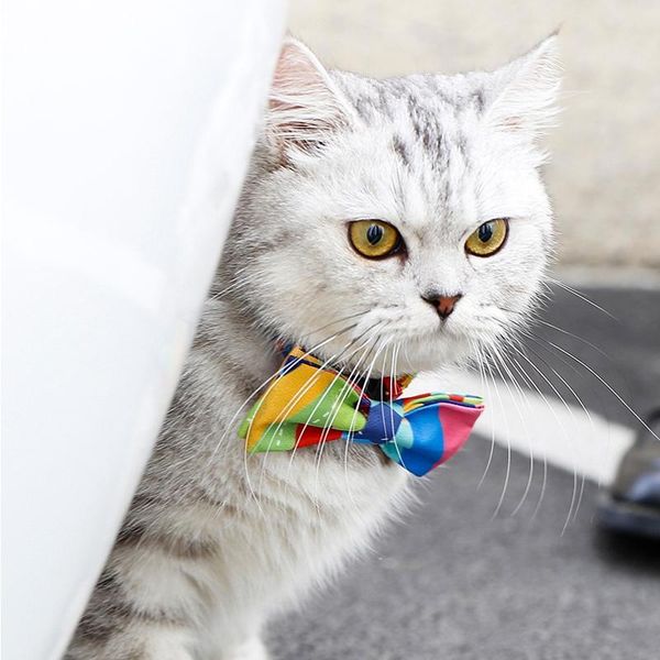 

cat collars & leads fashion product pet collar bow dog bell cotton with puppy accessories