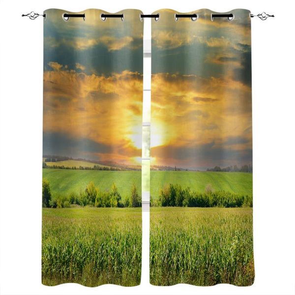 

curtain & drapes grassland the scenery sky window curtains home decor bedroom kitchen door for living room