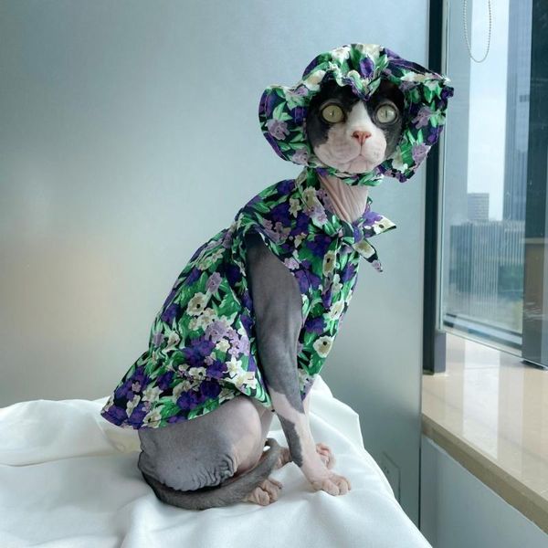 

cat costumes pet hat and dresses set summer floral elastic band lace garfield sphynx hairless small dog ins sun chihuahua dress