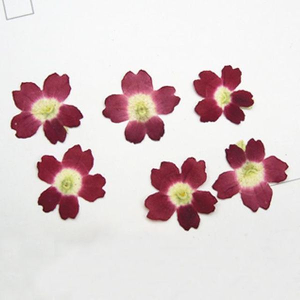 

original verbena china supply natural small dried flowers for candle decoration 120 pcs