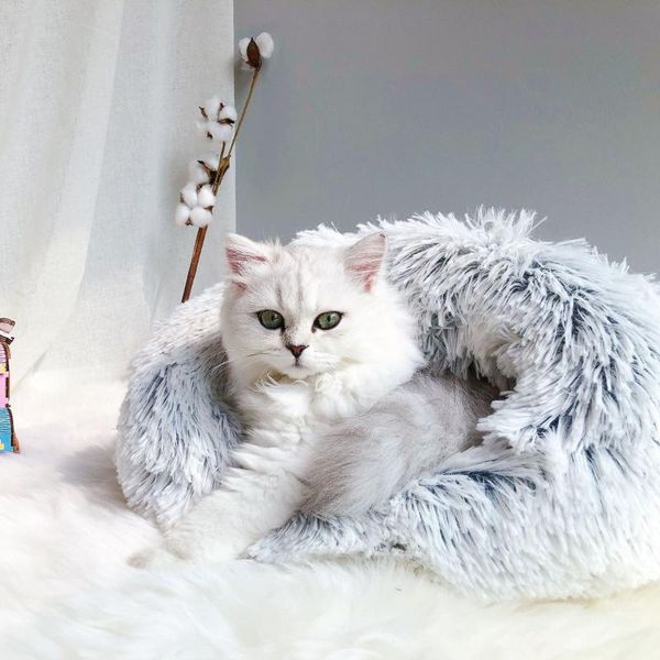 

cat beds & furniture bed sleeping bag soft self warming washable snuggle sack blanket mat kitty suitable for and puppy