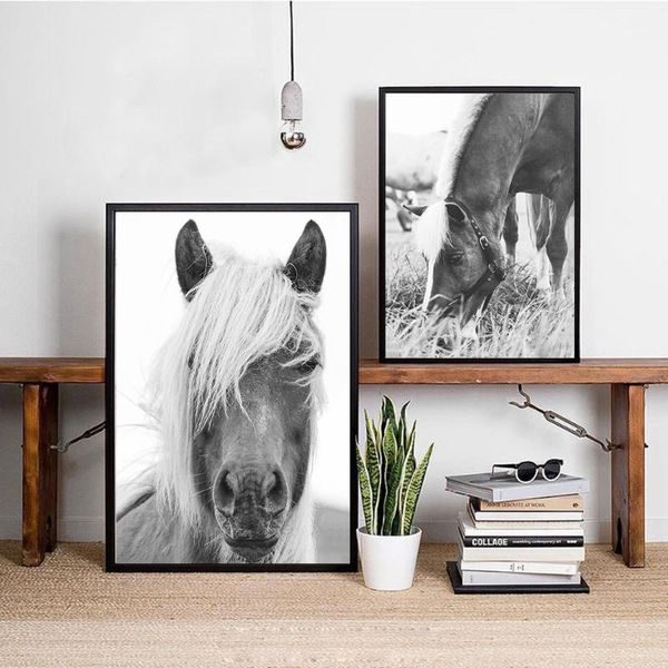 

paintings animal wall art horse posters and prints black white pography pictures for living room decoration home decor