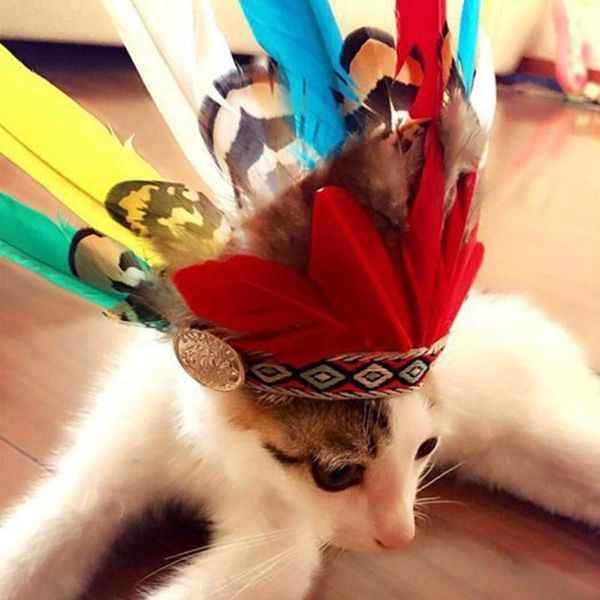 

cat costumes pet decor practical party accessories feather decoration accessory dog costume eye-catching for gathering