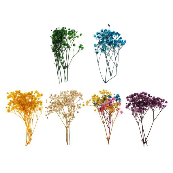 

1x pressed dried flowers leaves specimen diy art craft scrapbook card gifts