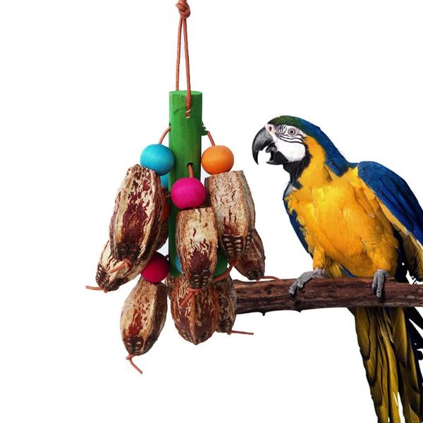 

other bird supplies toy accessories natural fruit hanging swing parrot biting chewing playing cage training accessory