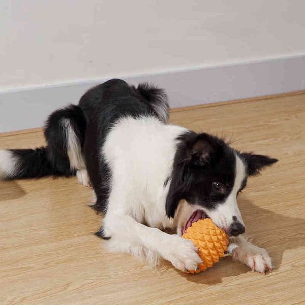 Toys de animais de estimação cão de borracha cão interativo cartão de quebra