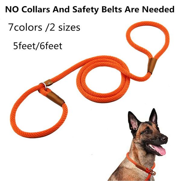 

6feet dog leash no collars and safety belts are needed dog slip leash rope training leads for small medium large dogs