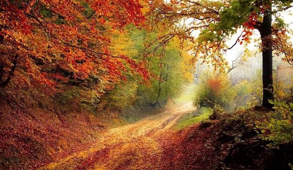 Herbst Seny Landschaft Ölgemälde Moderne deokratische Wandkunst Poster auf Leinwand für Büro, Café, Wohnkultur, handgemalt, Weihnachtsgeschenke