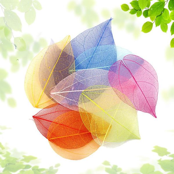 

decorative flowers & wreaths 100pcs/lot natural dried vein leaf dry leaves scrapbooking decoration for diy handmade materials wedding party