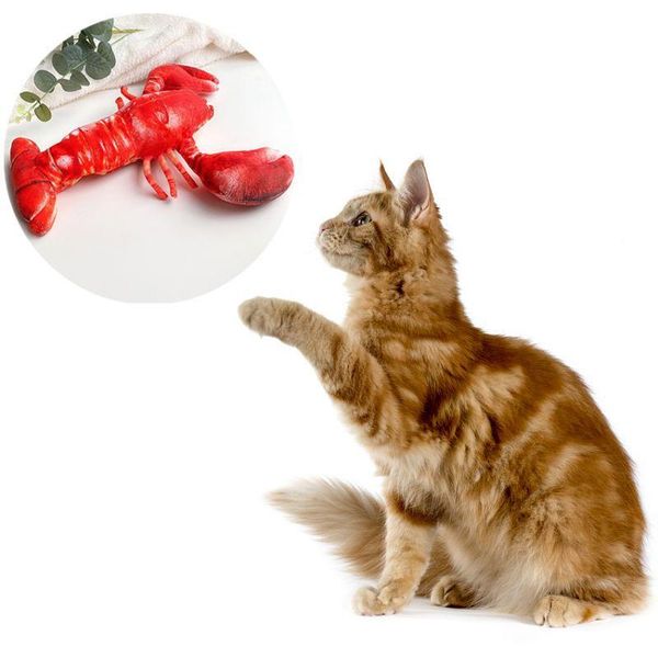 

cat toys pet supplies products chew toy simulation lobster catnip usb charging