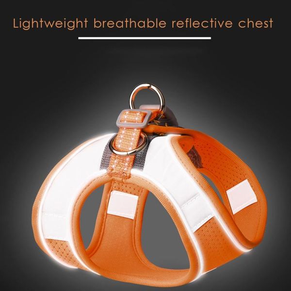 

dog collars & leashes small and medium-sized dogs/cats vest type traction belt reflective chest strap detachable rope nylon material