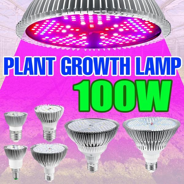 

grow lights led e27 plant full spectrum e14 fitolampy bulbs 220v flower phyto light 18w 28w 30w 50w 80w 100w hydroponic growth 5730 smd