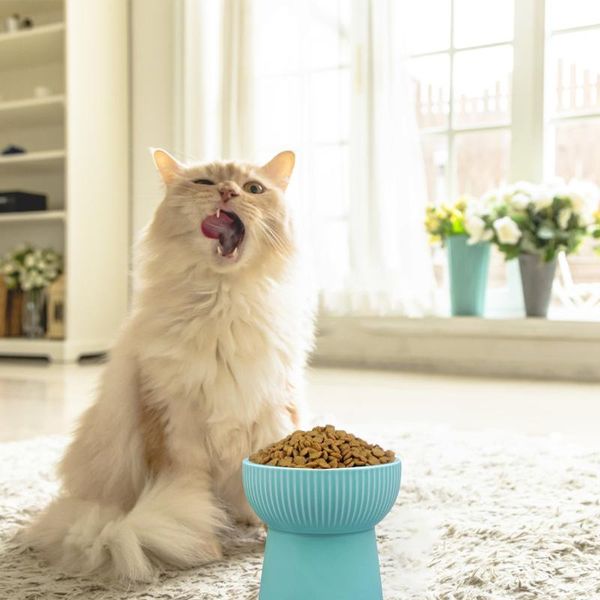

cat bowls & feeders ceramic bowl drink water container small dogs food dispenser pet feeder cartoon high-foot raised cute