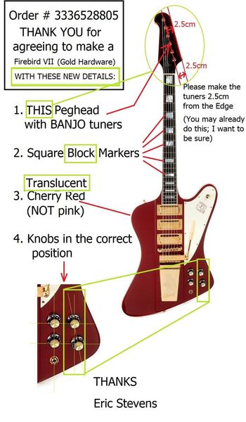 

custom electric guitar firebirdmodel in wine