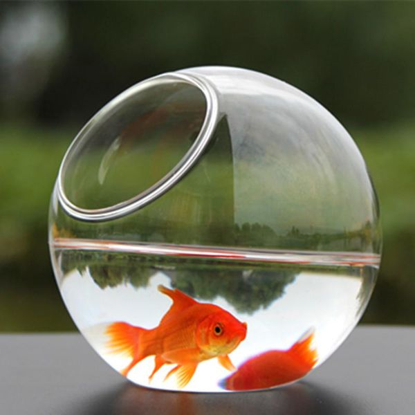 

novelty items diameter=20cm super big size side open glass terrarium vase home decoration creative aquarium fishbowl friend gift