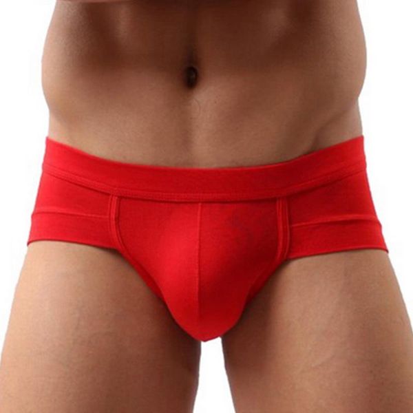 

underpants underwear mesh qucik-dry men modal briefs breathable mens cueca male low waist panties gay boxes men's, Black;white
