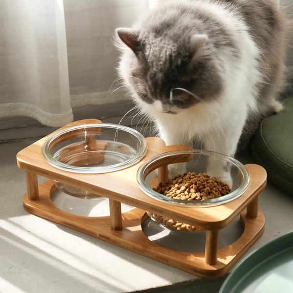 

cat bowls & feeders glass pet food bowl elevated raised feeding water with wood stand neck care for puppy kitten dishes feeder