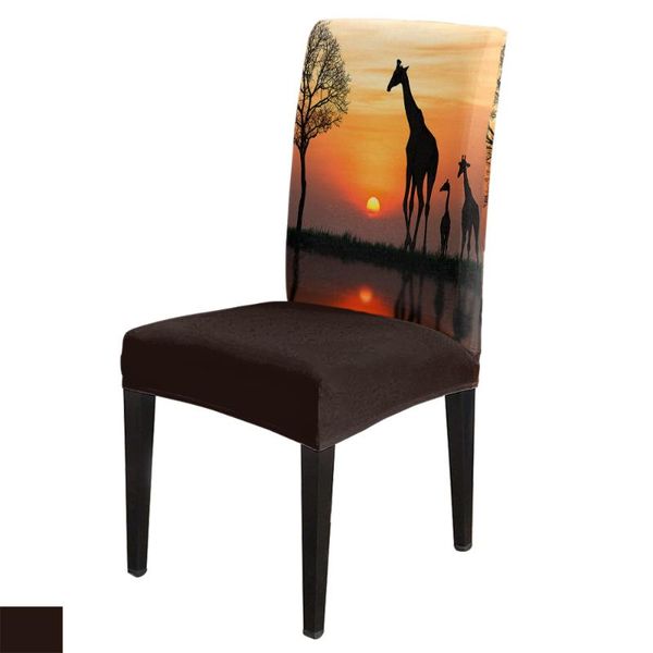 

chair covers africa giraffe sunrise spandex elastic dining slipcover removable kitchen seat case stretch cover for banquet