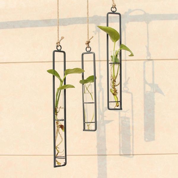 

clear glass test tube flower vases wall hanging air plant terrarium container art nature home decor hydroponics planter pot