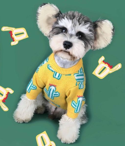 

dog apparel clothes spring and autumn small dogs winter thick cactus sweater teddy schnauzer bomei cat