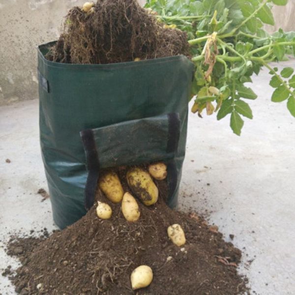 

planters & pots jeyl 5pcs 10 gallons potato cultivation planting woven fabric bags garden vegetable grow bag