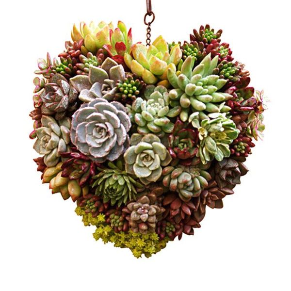 

vases innovative heart shaped handmade flowerpot succulent plants pot flowers gift