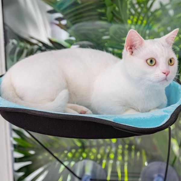

cat beds & furniture hammock bed window mounted lounger suction cups for small pet wall hanging kitten rest mat load bearing 15kg