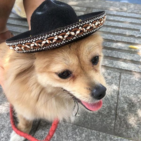 

dog apparel mini pet mexican style straw hat 17cm adjustable party
