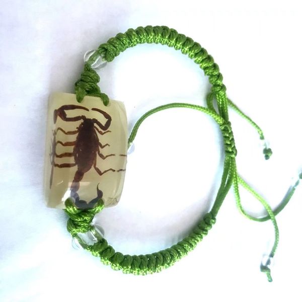 

12 pcs real black scorpion king glow back bracelet charming green rope bangle