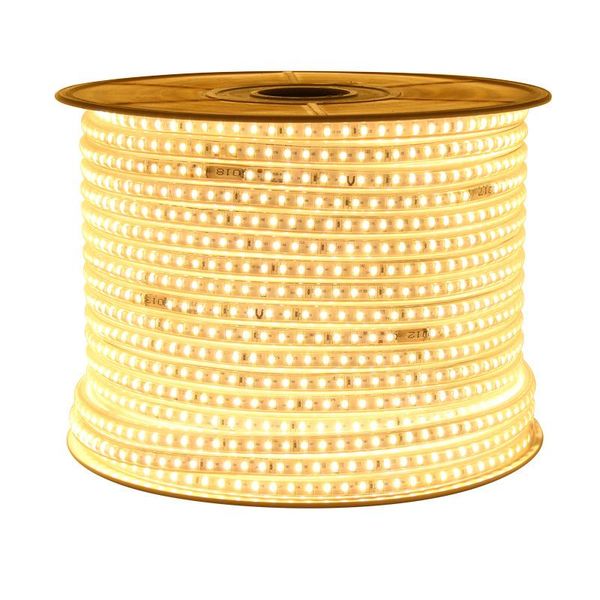 

100m/lot waterproof smd 3036 ac220v flexible led strip 96leds 144leds /meter 10w 3d curved outdoor garden lighting natural white