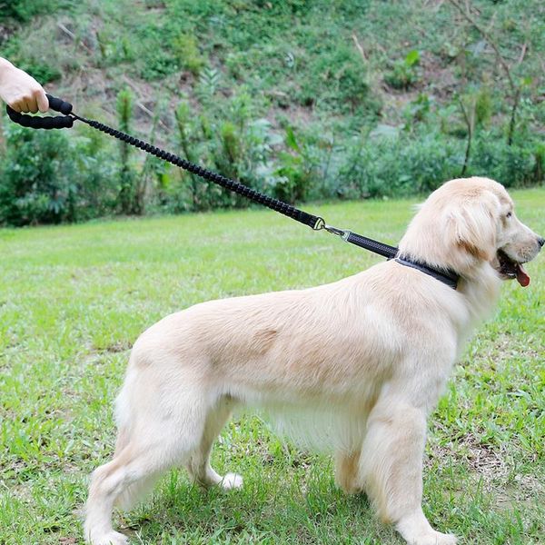 

pet dog leash reflective dog leash rope nylon material lead collar harness running pet outdoor supplies