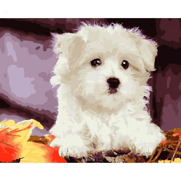 

paintings dog oil picture by number animal acrylic paints coloring handmade diy kits for adults drawing painting home decoration