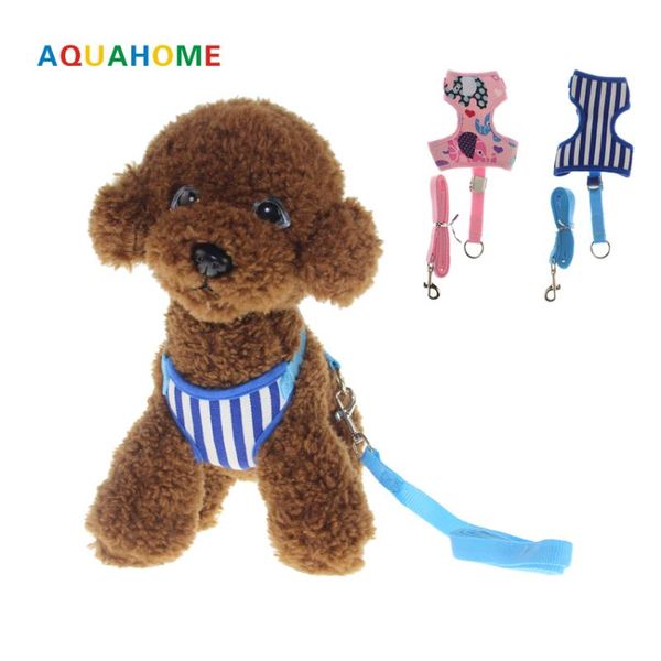 

dog collars & leashes chest strap teddy poodle with small rope