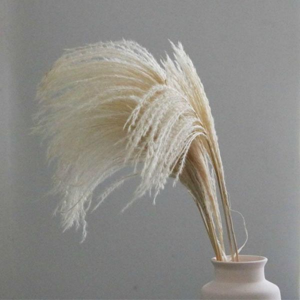 

15/50pcs pampas grass decor real wheat ear flower decoration natural pampas dried flowers for wedding party diy craft bouquet