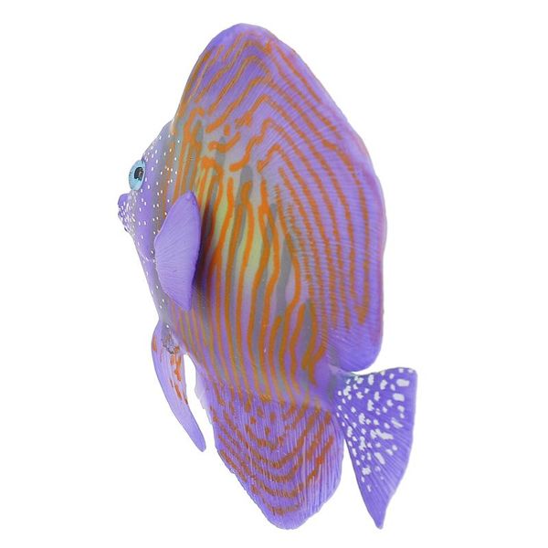 

decorations artificial aquarium fish ornament tank simulation layout