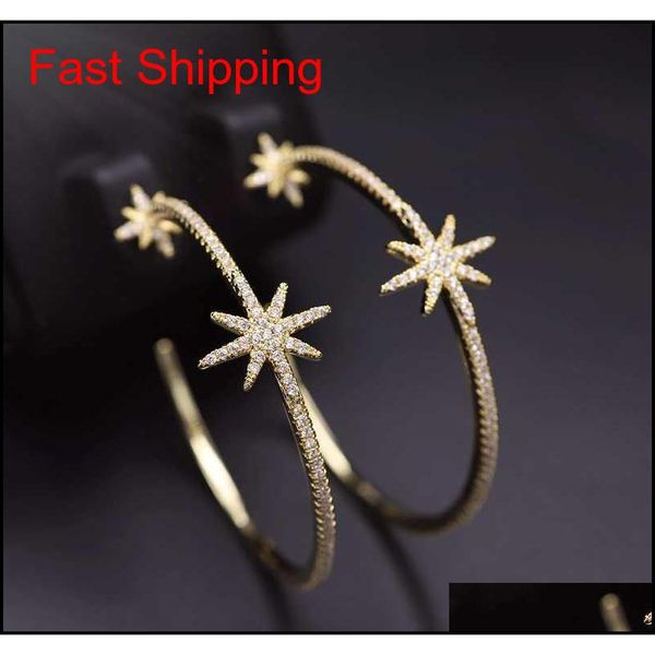 

luxury- shiny big round hoop earrings for women gold/sliver/black charm snowflake zircon earring star flowers qyltkw homes2007, Silver