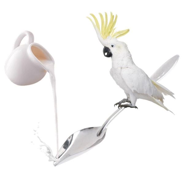 

other bird supplies bird's stainless steel feeding spoon parrot's milk powder