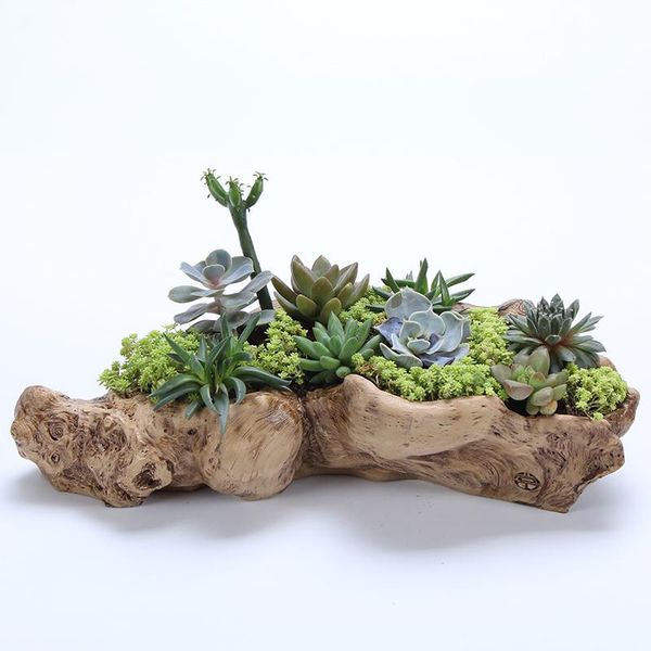 

planters & pots succulents resin potted plants retro root wood flower wholesale