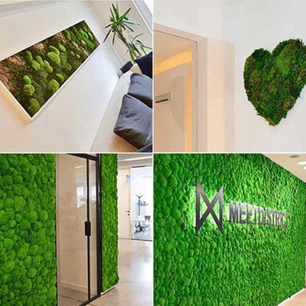

decorative flowers & wreaths preserved flower 200g moss in a variety of colors and available boxed materials, garden home decoration wall