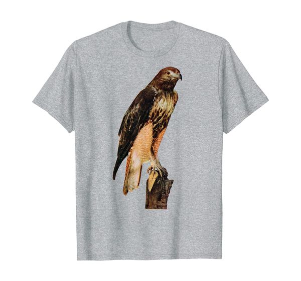 

red tailed hawk t-shirt red-tailed hawk birder gift tee, White;black