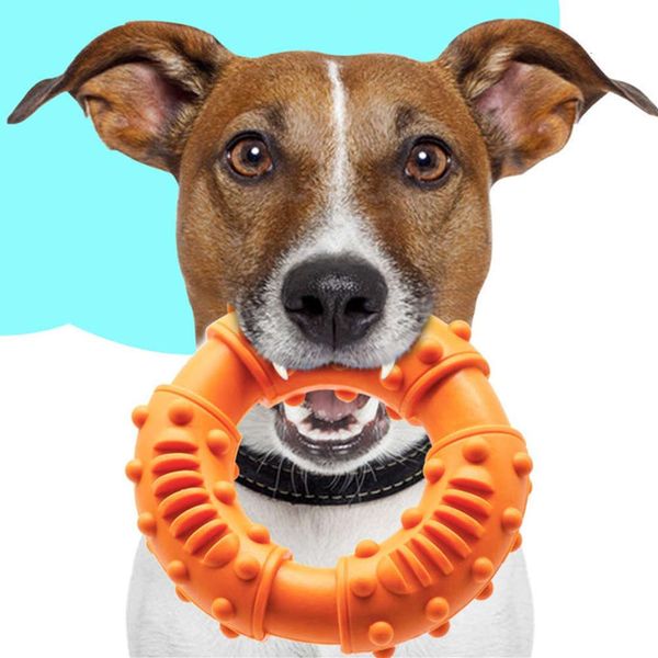 

e new dog toy medium and large dog golden molars pet toy doughnut