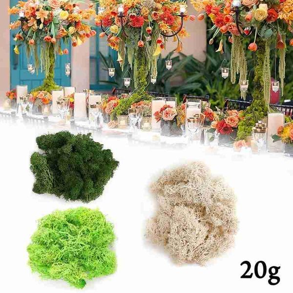 

20g immortal natural moss norwegian reindeer garden eternal dried craft artificial plant flower landscape wedding multi-color gr